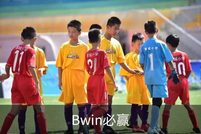 Bwin必赢公司简介图片